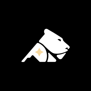 Lionrun Consulting